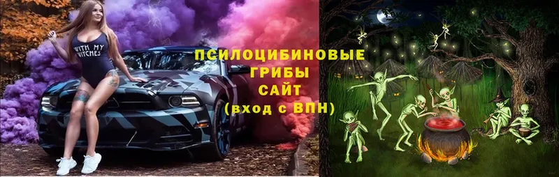 Псилоцибиновые грибы мицелий Люберцы